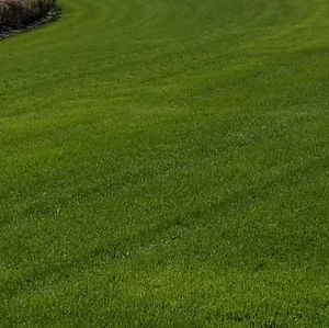 Meet your Posher, Chad